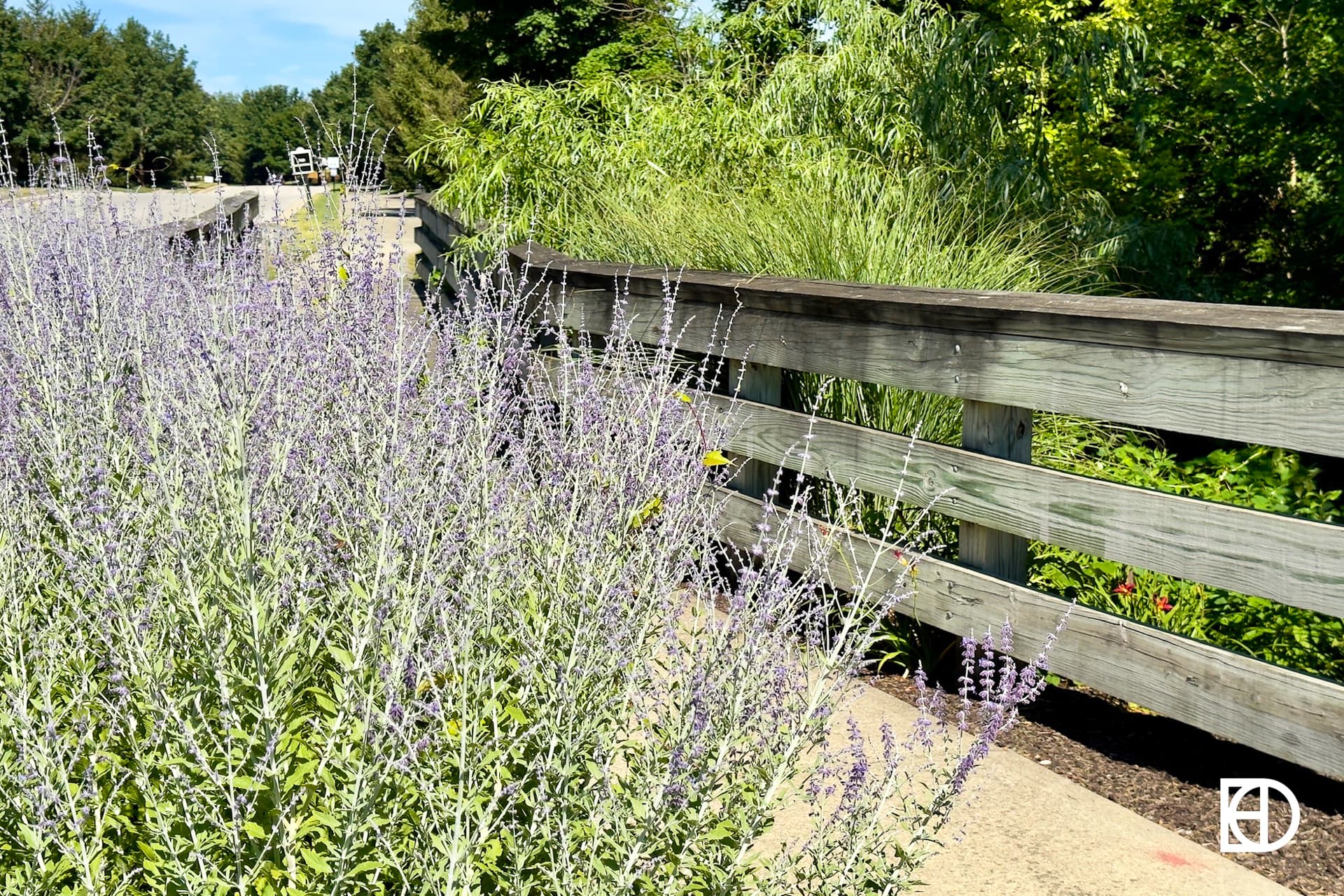 Outdoor photo of bridge over creek with lush landscape at entrance to East Haven in Noblesville.