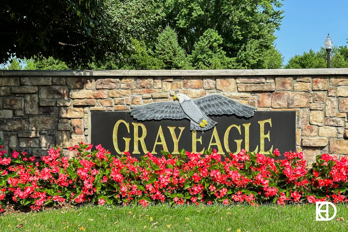 Gray Eagle media