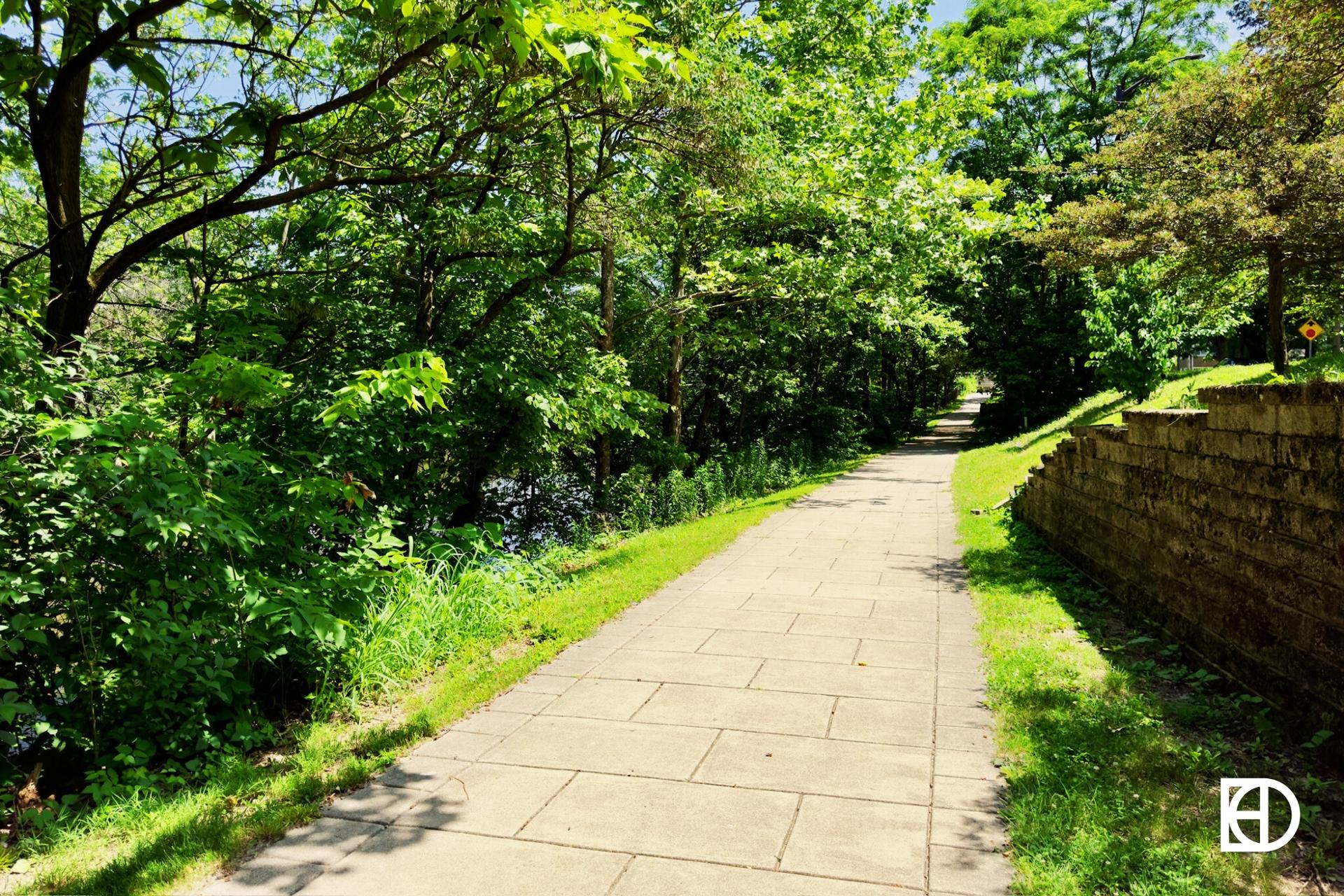 Photo of walking trail and foliage in Fall Creek Place