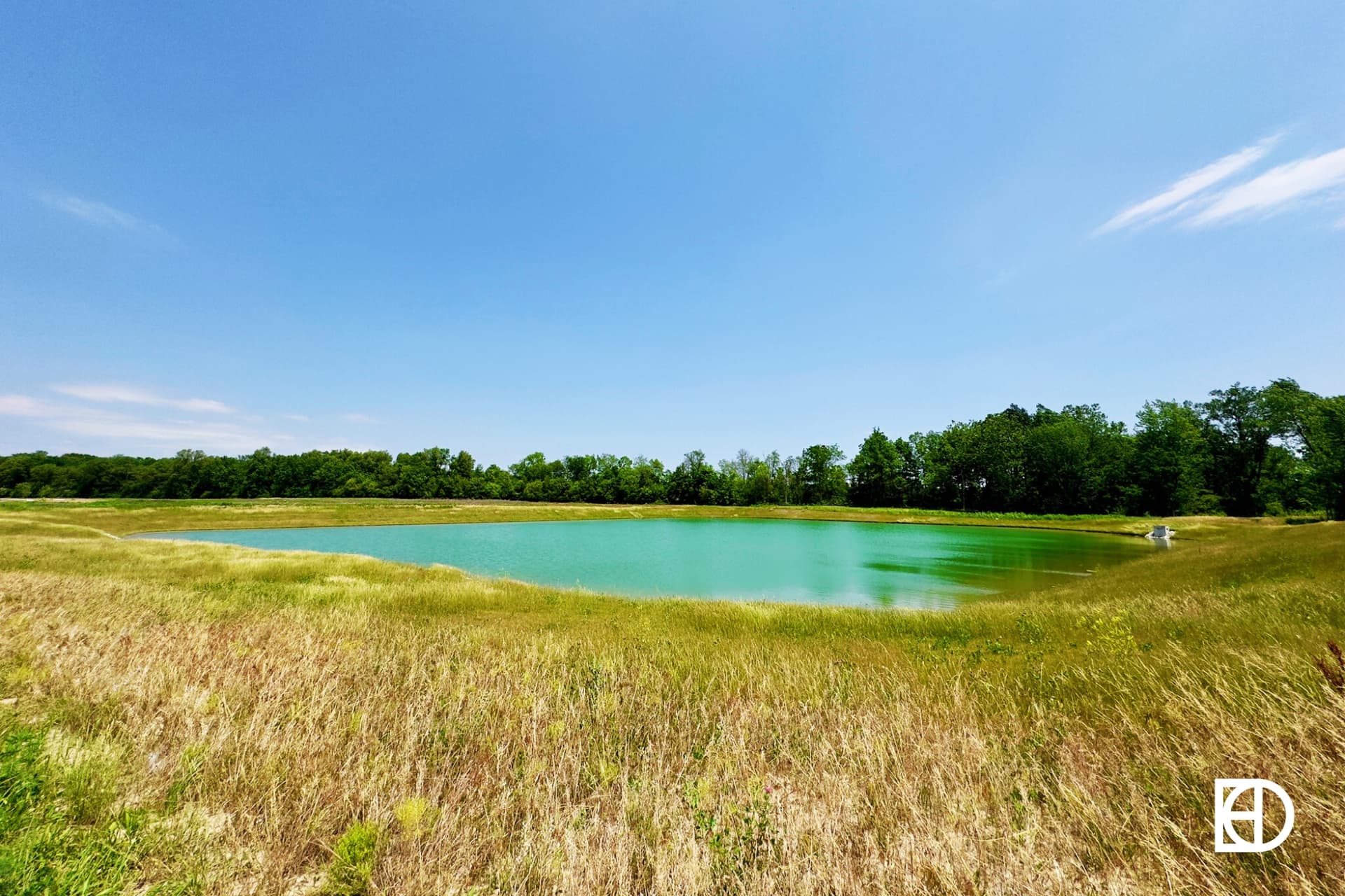 Pond with trees in the background in Harvest Trail of Westfield.