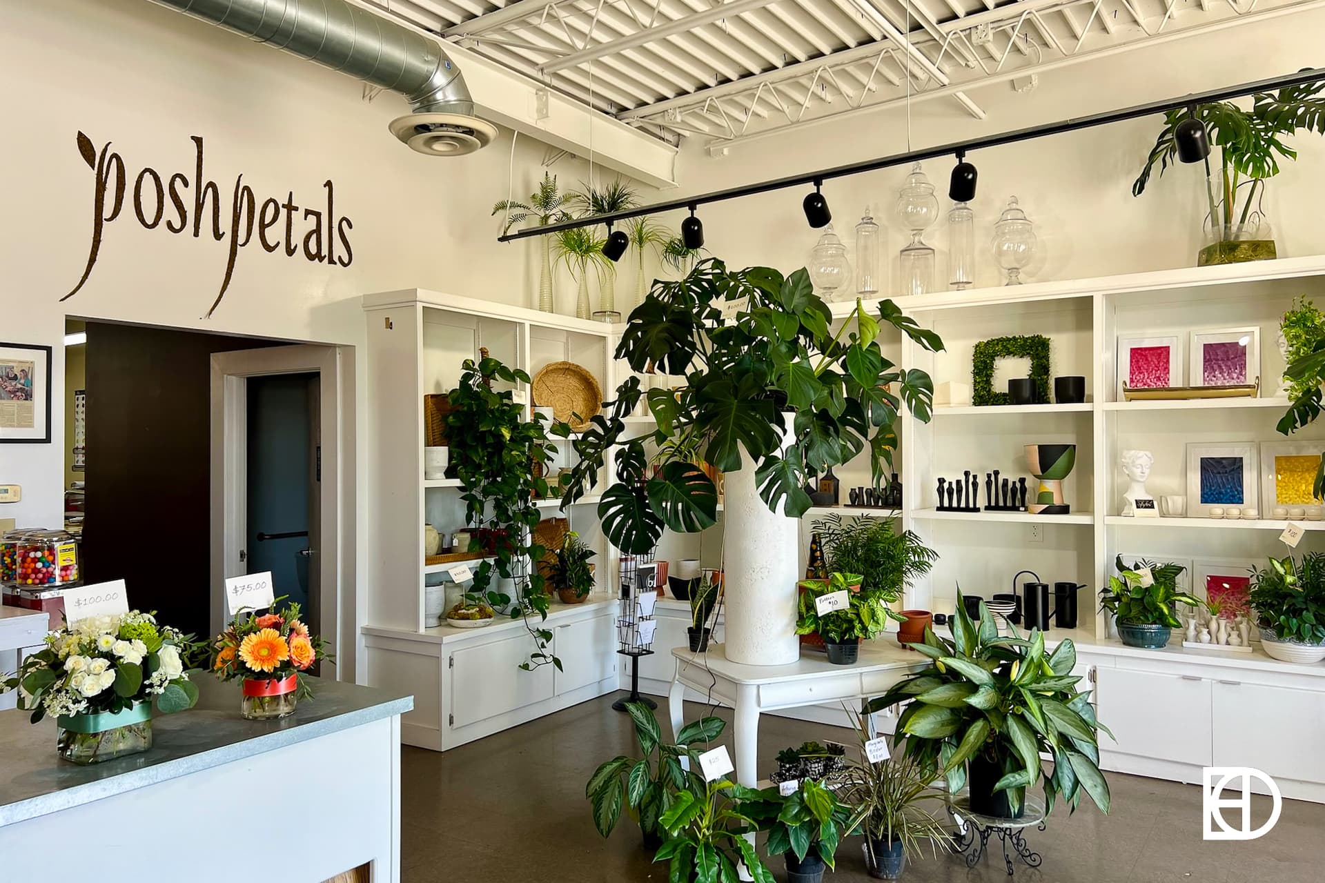 Interior photo of Posh Petals, showing signage and plants for sale