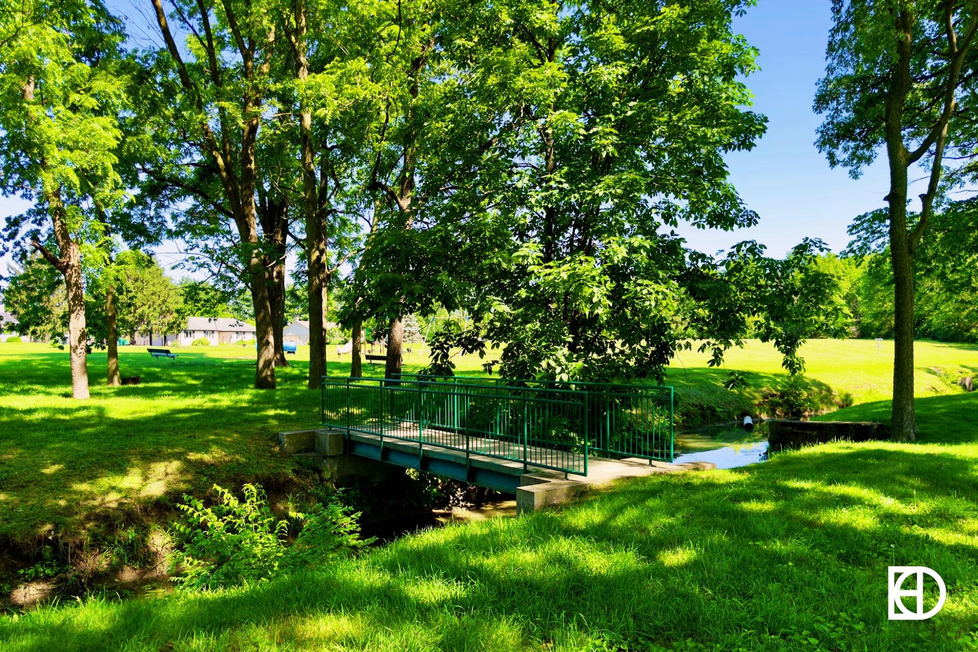 Exterior photo of Cottingham Park, showing trees, bridge, and green space