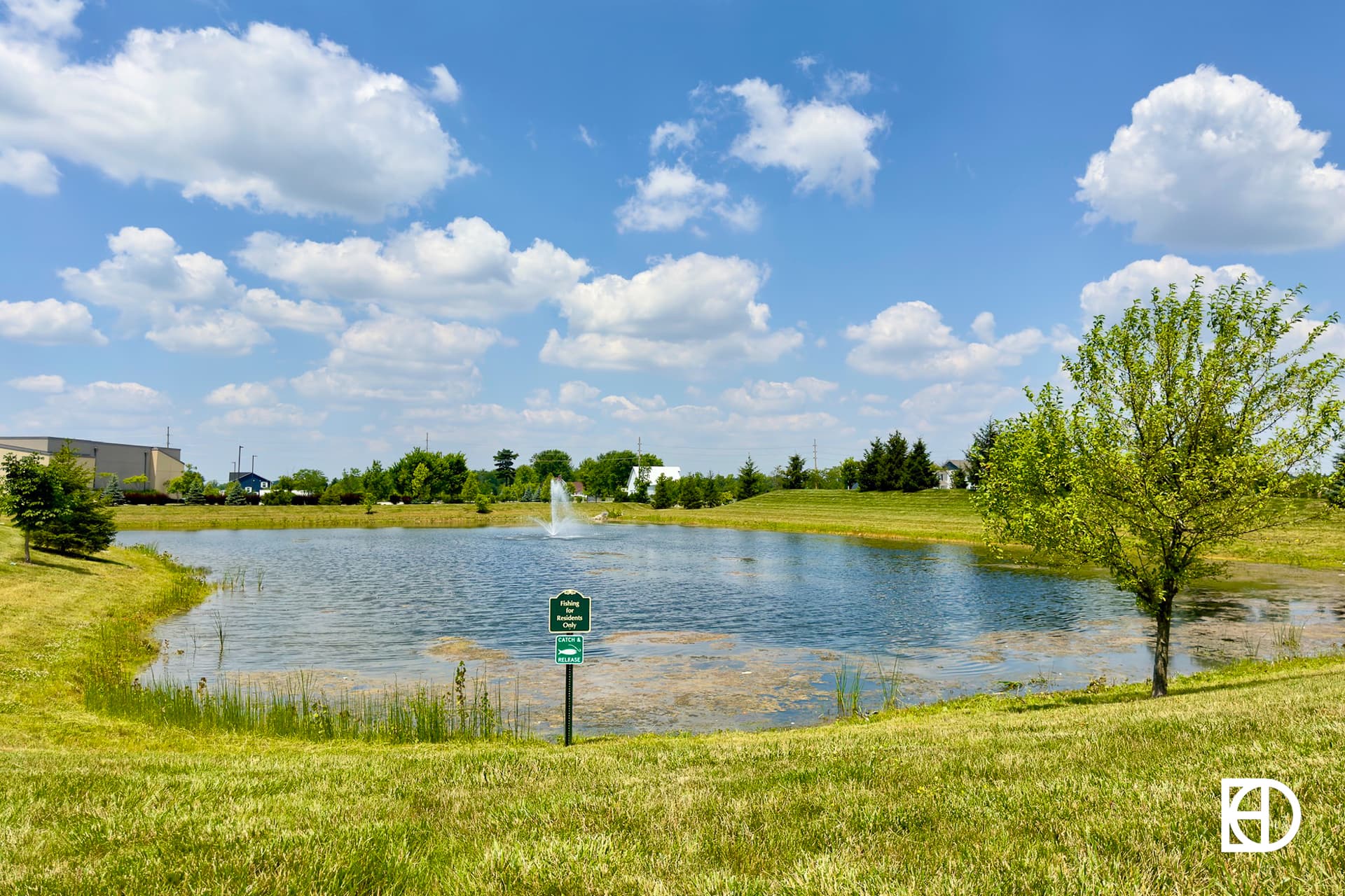 Photo of pond with fountain and trees in Shelton Cove.